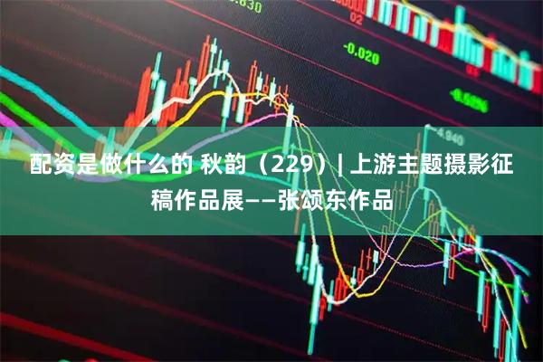 配资是做什么的 秋韵（229）| 上游主题摄影征稿作品展——张颂东作品