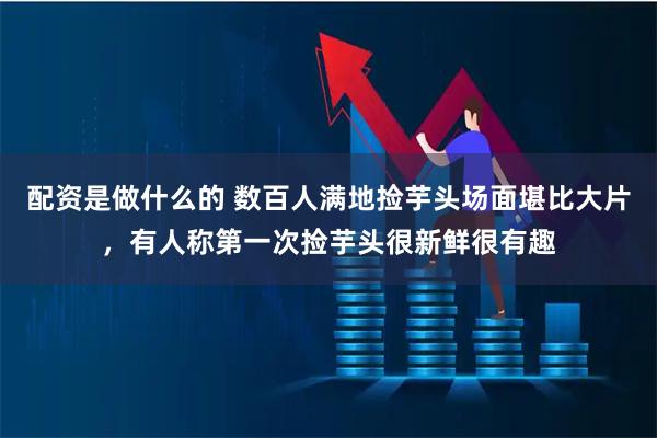 配资是做什么的 数百人满地捡芋头场面堪比大片，有人称第一次捡芋头很新鲜很有趣