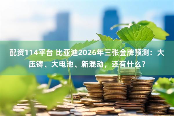 配资114平台 比亚迪2026年三张金牌预测：大压铸、大电池、新混动，还有什么？