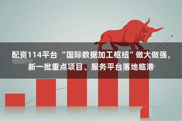 配资114平台 “国际数据加工枢纽”做大做强，新一批重点项目、服务平台落地临港
