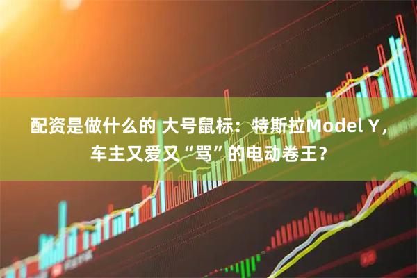 配资是做什么的 大号鼠标：特斯拉Model Y，车主又爱又“骂”的电动卷王？