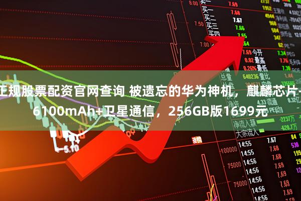 正规股票配资官网查询 被遗忘的华为神机，麒麟芯片+6100mAh+卫星通信，256GB版1699元