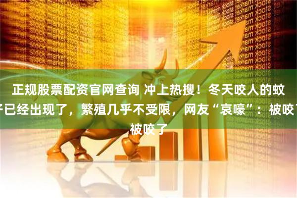 正规股票配资官网查询 冲上热搜！冬天咬人的蚊子已经出现了，繁殖几乎不受限，网友“哀嚎”：被咬了