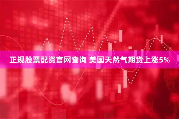正规股票配资官网查询 美国天然气期货上涨5%