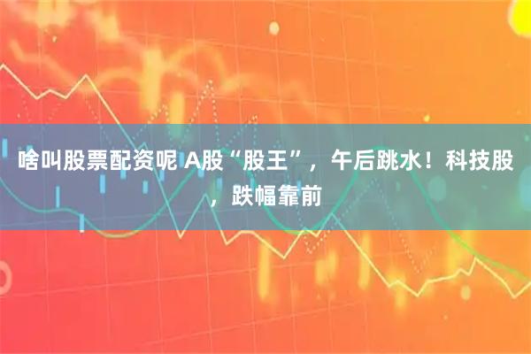 啥叫股票配资呢 A股“股王”，午后跳水！科技股，跌幅靠前